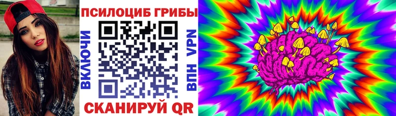 Галлюциногенные грибы Cubensis  Чухлома 